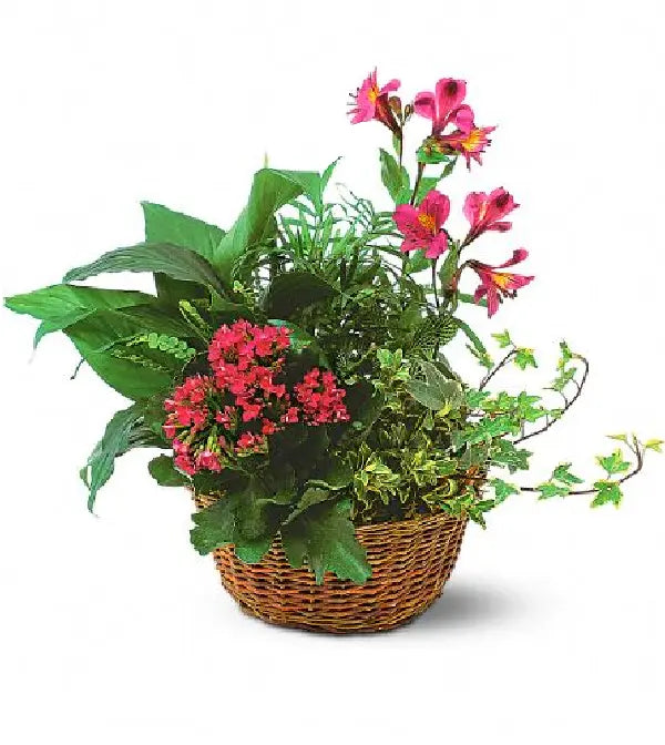 Plantapalooza II Fleur Concept
