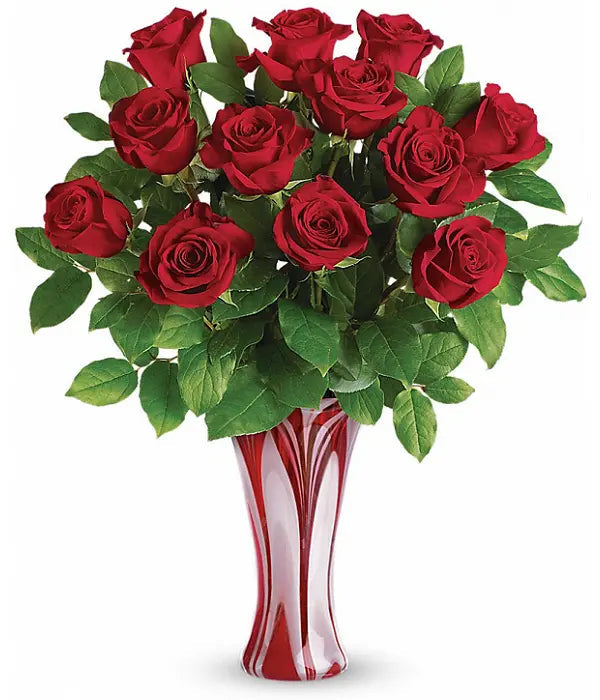 One Dozen Extra Long Stemmed Red Roses Fleur Concept