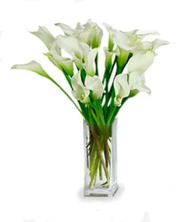 Twenty Stunning Calla Lilies Fleur Concept