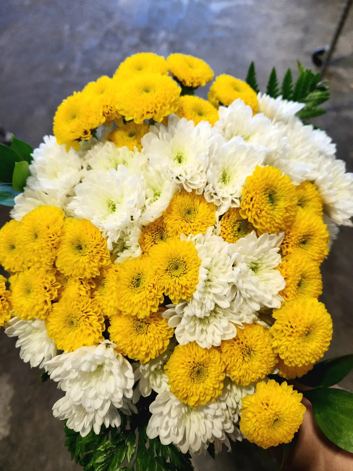 Classic Yellow & White Daisies Fleur Concept
