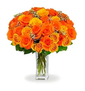 Three Dozen Long Stem Orange Roses Fleur Concept