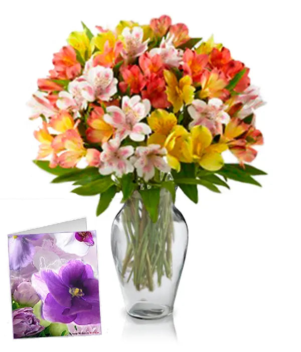 50 Blooms of Alstroemeria Fleur Concept