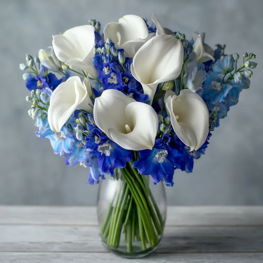 Joie Bleue et Blanche