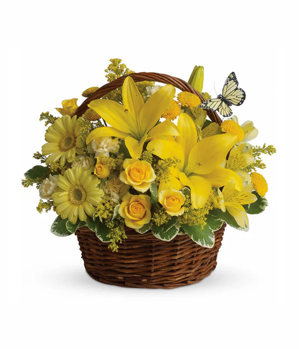 Panier plein de souhaits