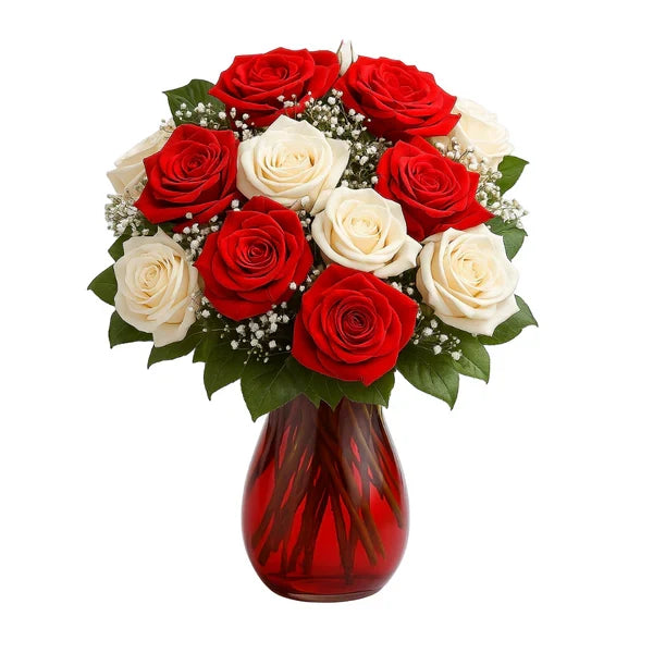 One dozen candy cane roses in red vase.