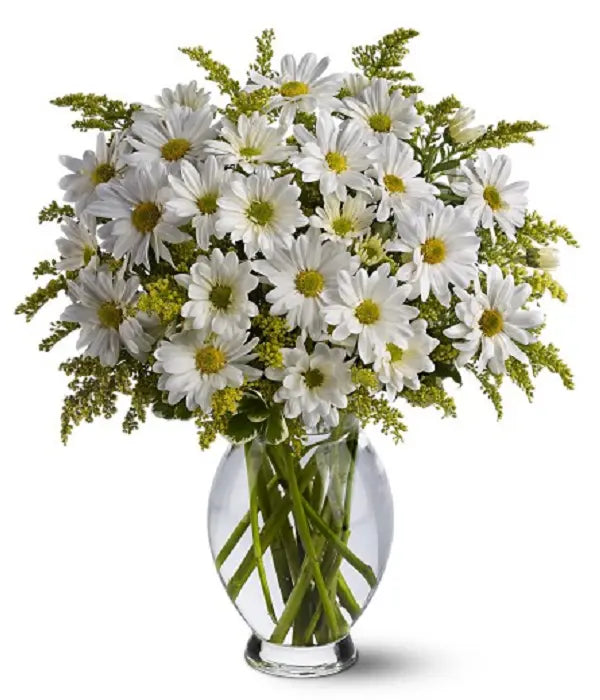 Classic White Daisies Fleur Concept