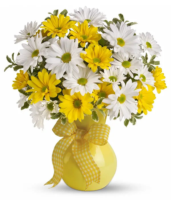Classic Yellow & White Daisies Fleur Concept
