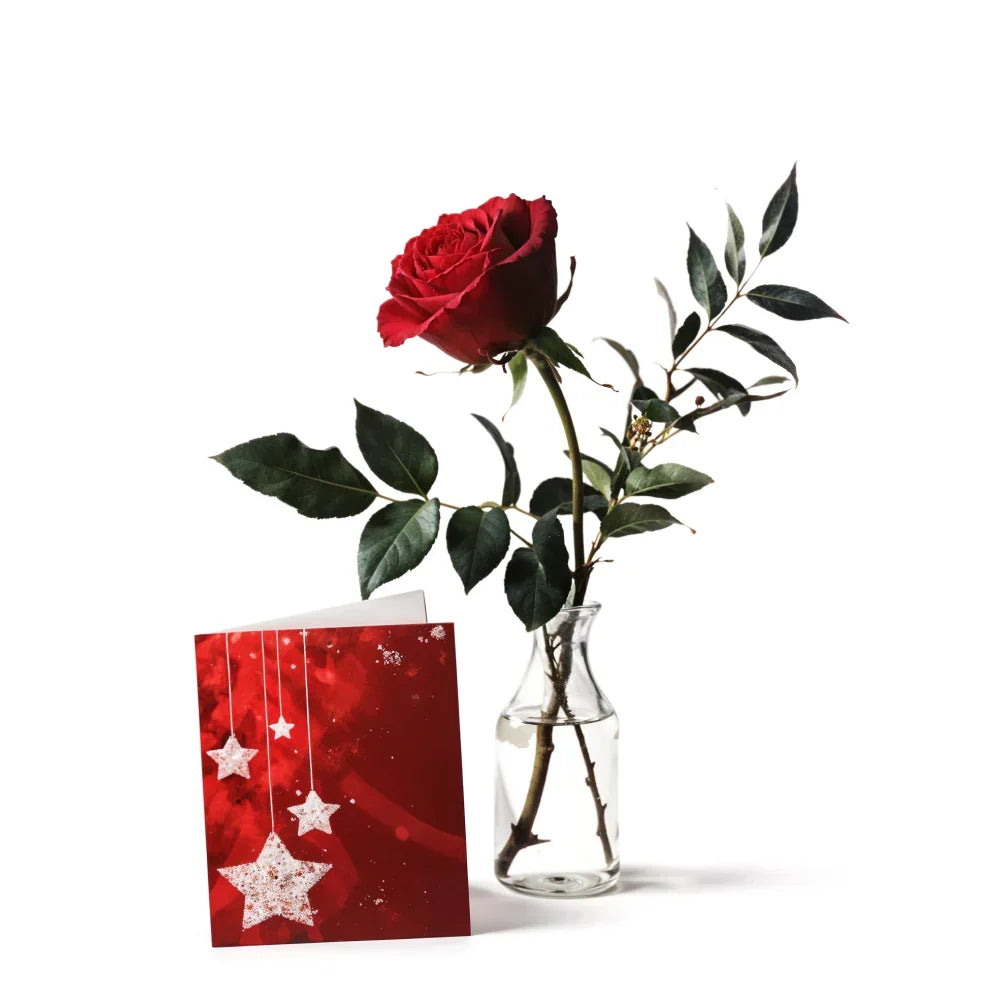 Solitary Rose & Card Fleur Concept