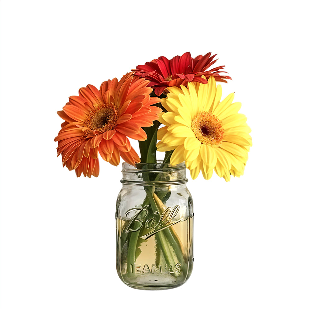 Gerbera Daisies in a Mason Jar Fleur Concept