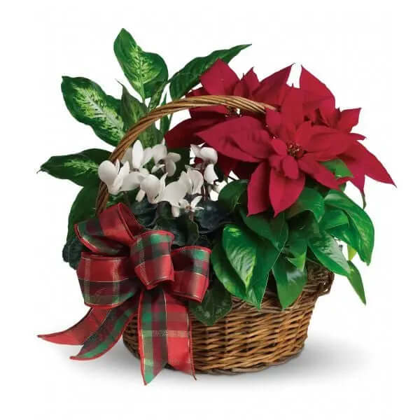 Holiday Poinsettia Basket Fleur Concept