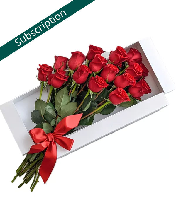 One Dozen Gift Boxed Roses - Subscription