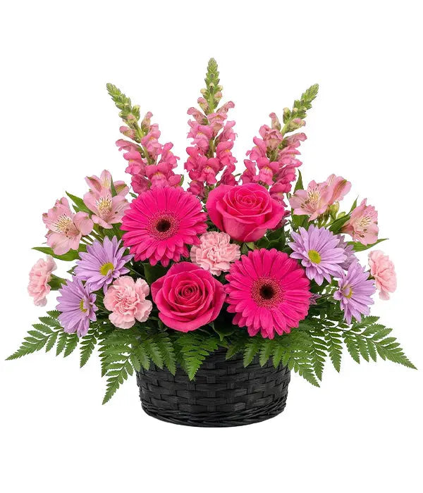 Pink Beauty Fleur Concept