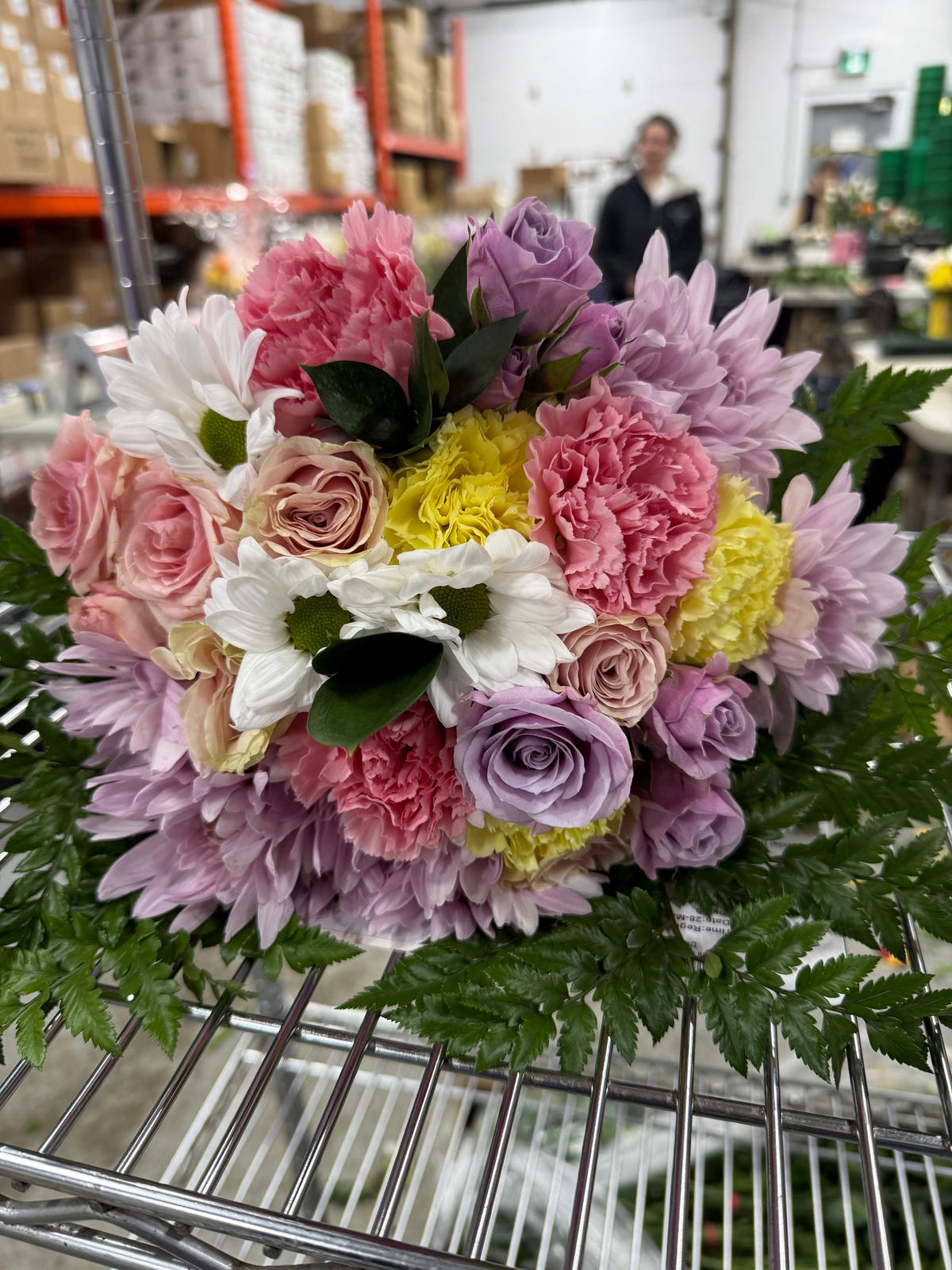 Pastel Colours Designer’s Choice Fleur Concept