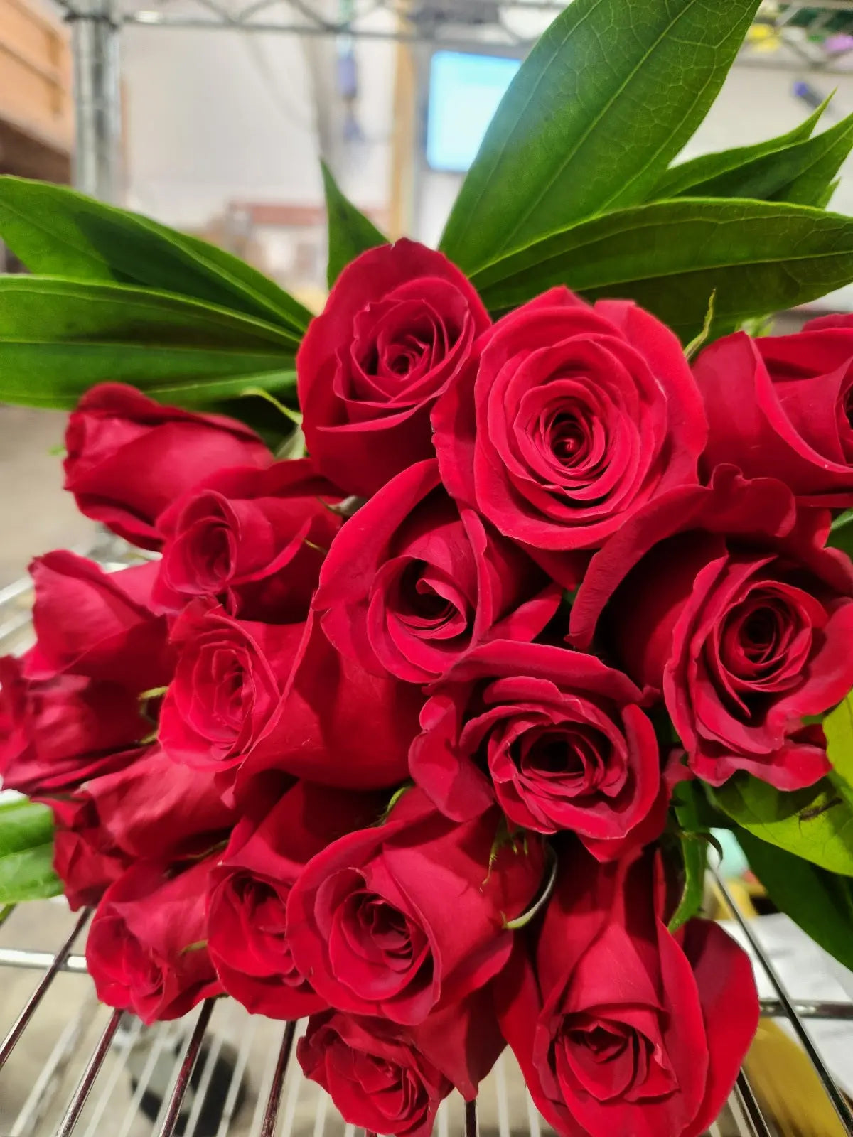 One Dozen Red Roses Fleur Concept