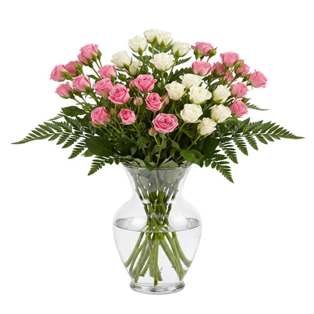 50 Blooms of White & Pink Spray Roses Fleur Concept