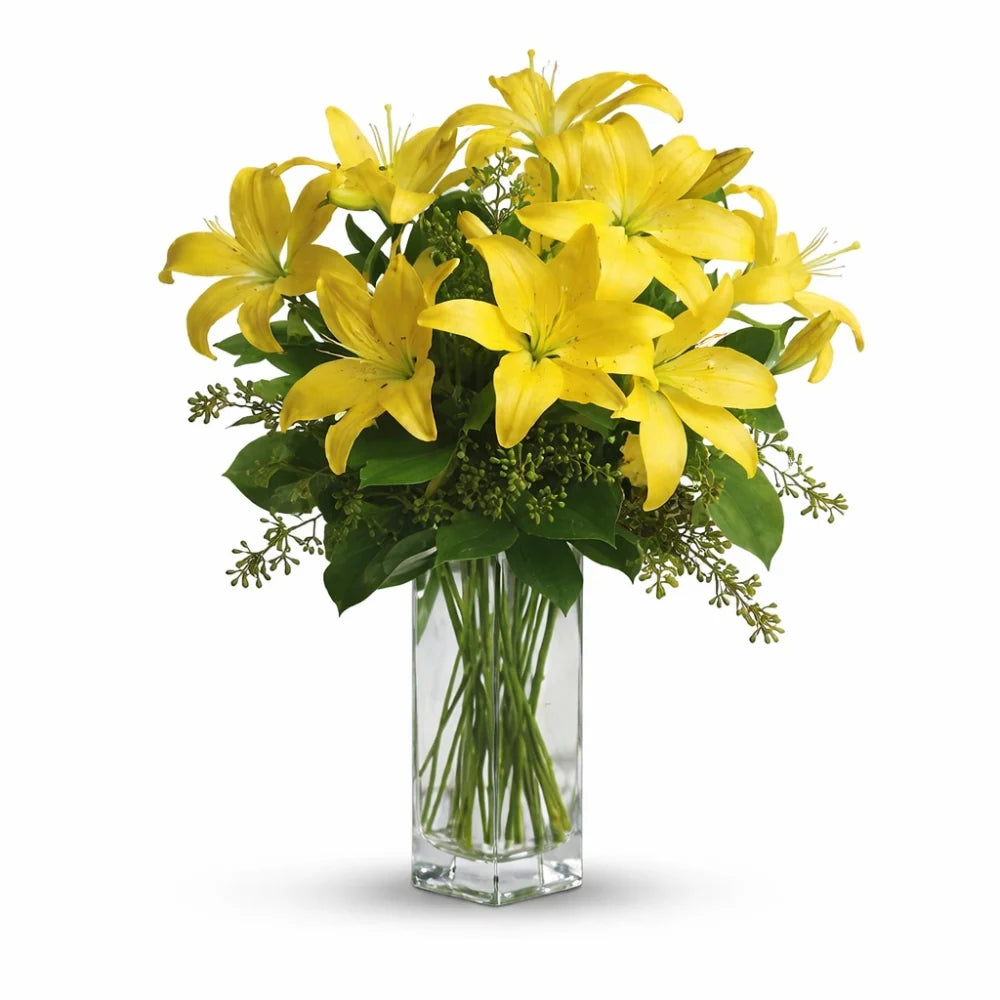 Lily Sunshine Fleur Concept
