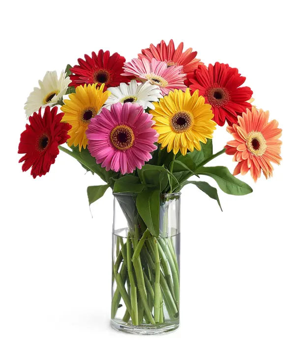 Rainbow Gerbera Bouquet Fleur Concept