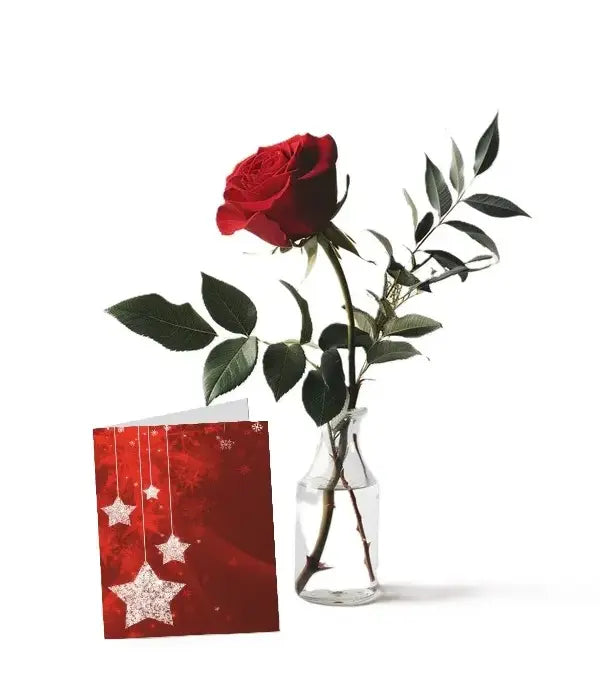 Solitary Rose & Card Fleur Concept