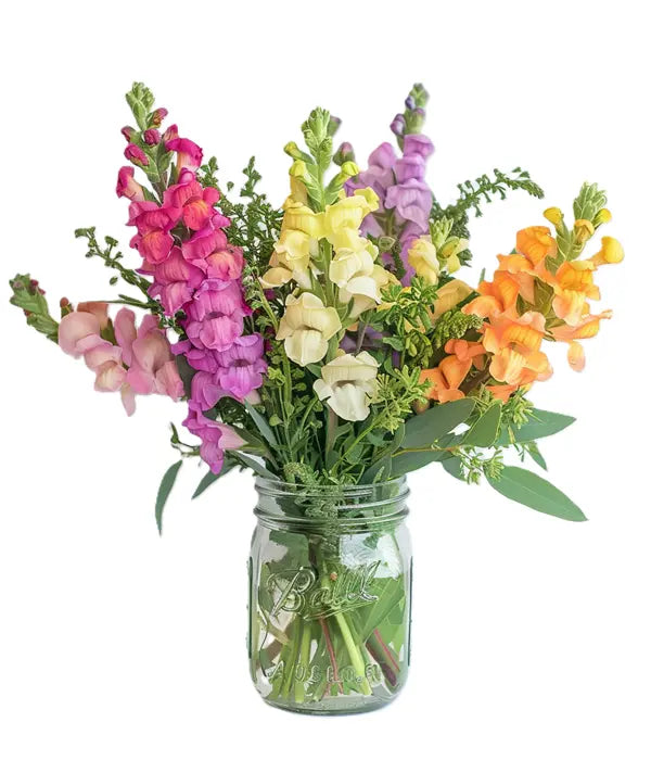 Super Snapdragons in Mason Jar Fleur Concept