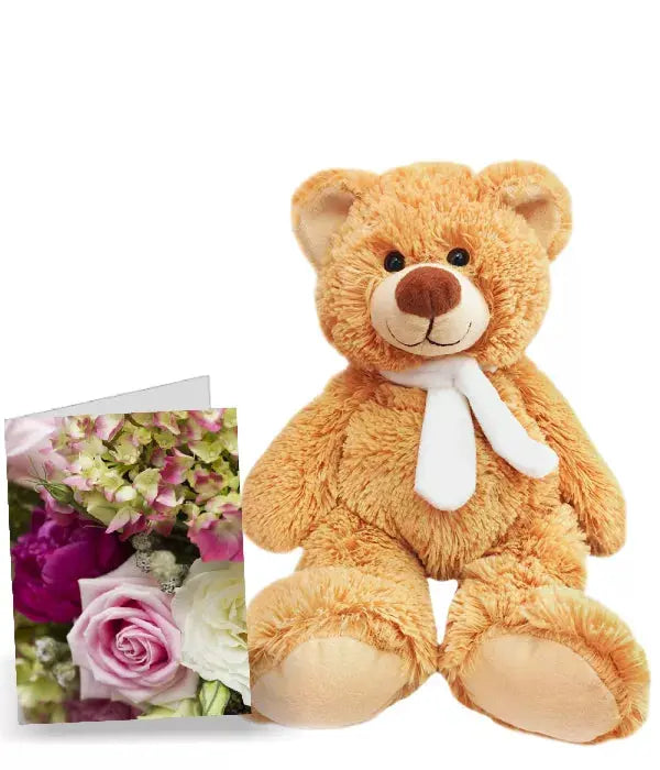 Teddy and Card Special Fleur Concept