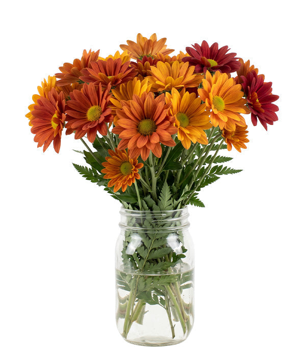 Fleurs d'automne