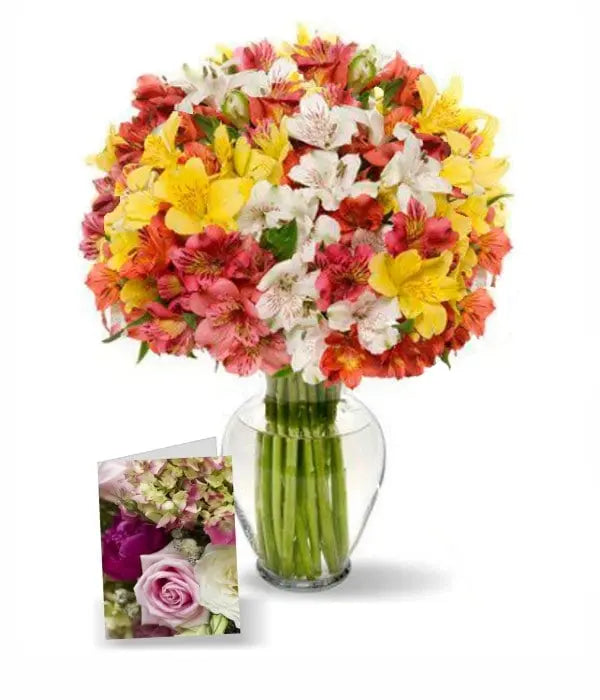 100 Blooms of Alstroemeria I Fleur Concept