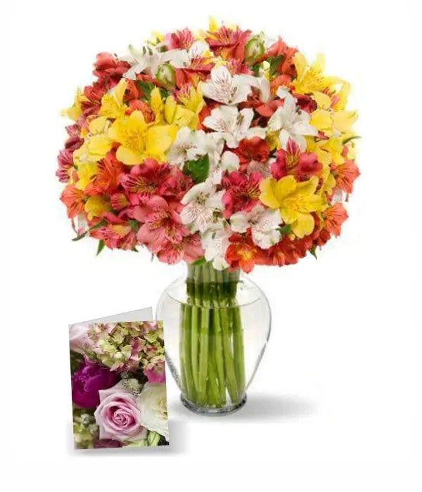 100 Blooms of Alstroemeria I Fleur Concept