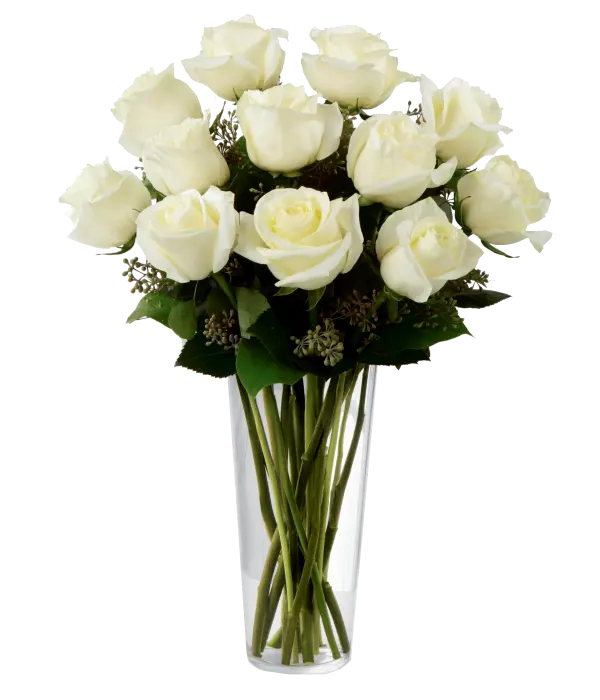 One Dozen Long Stemmed White Roses Fleur Concept