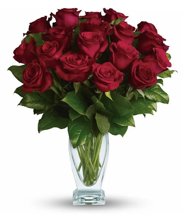 Eighteen Long Stem Red Roses Fleur Concept
