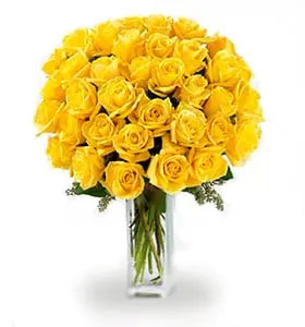 Three Dozen Long Stemmed Yellow Roses Fleur Concept