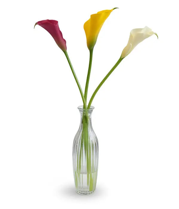 3 Lilies Assorted in Bud Vase Fleur Concept
