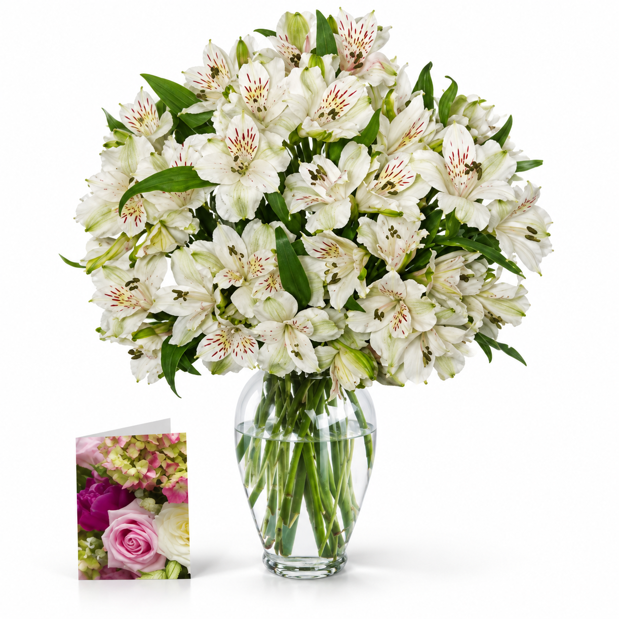 50 Blooms of Easter Alstroemeria I