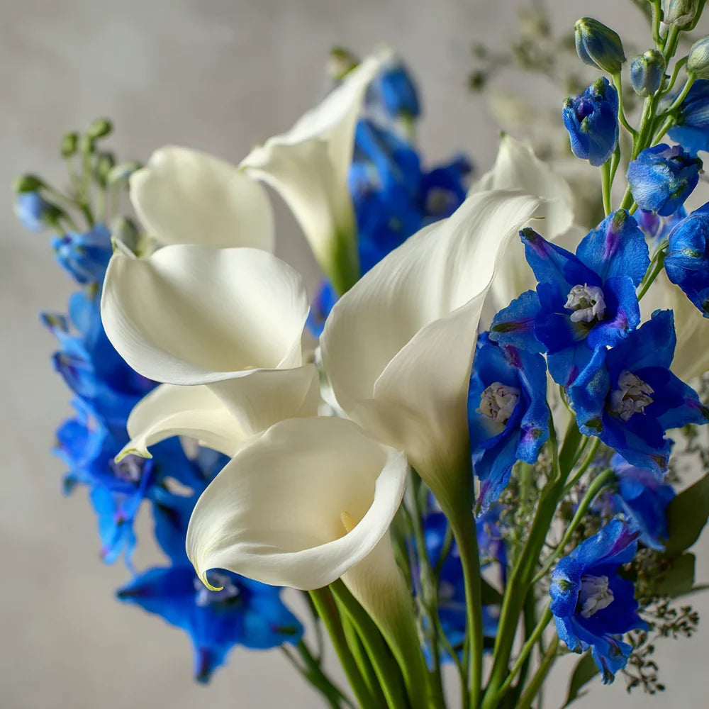 Blue and White Joy Fleur Concept