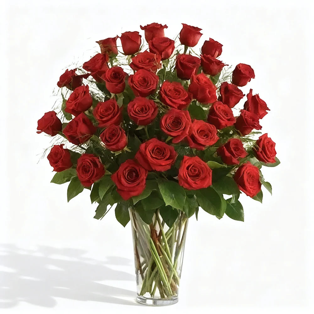 Three Dozen Long Stem Red Roses Fleur Concept