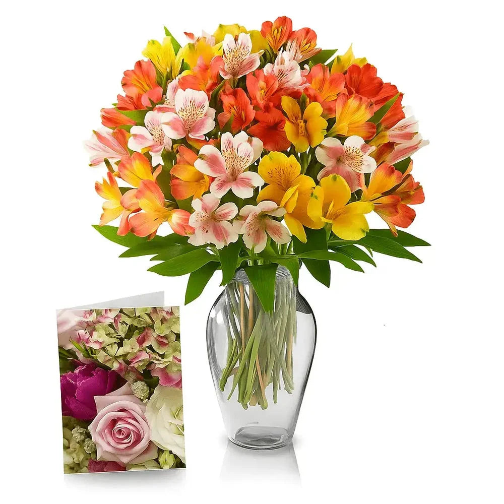 50 Blooms of Alstroemeria Fleur Concept
