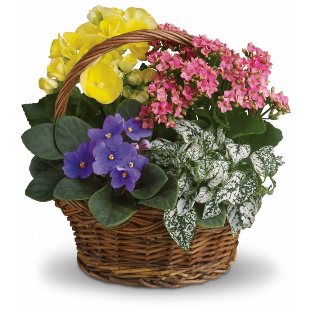 Panier de jardinière en fleurs