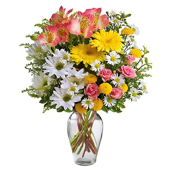 Blossoms of joy