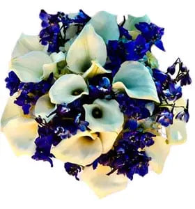 Blue and White Joy Fleur Concept