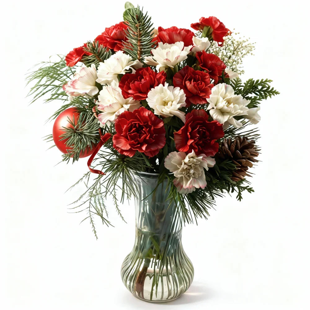 Winter Classic Bouquet of Red & White Carnations