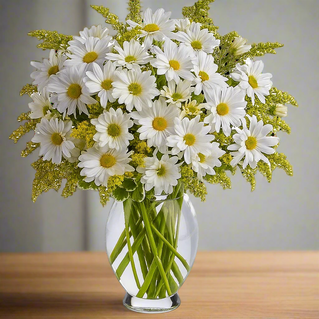 Classic White Daisies Fleur Concept