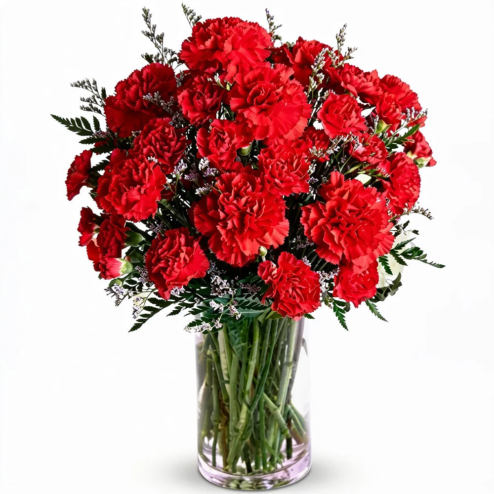 Crimson Delight carnations in red vase (LF21-68)