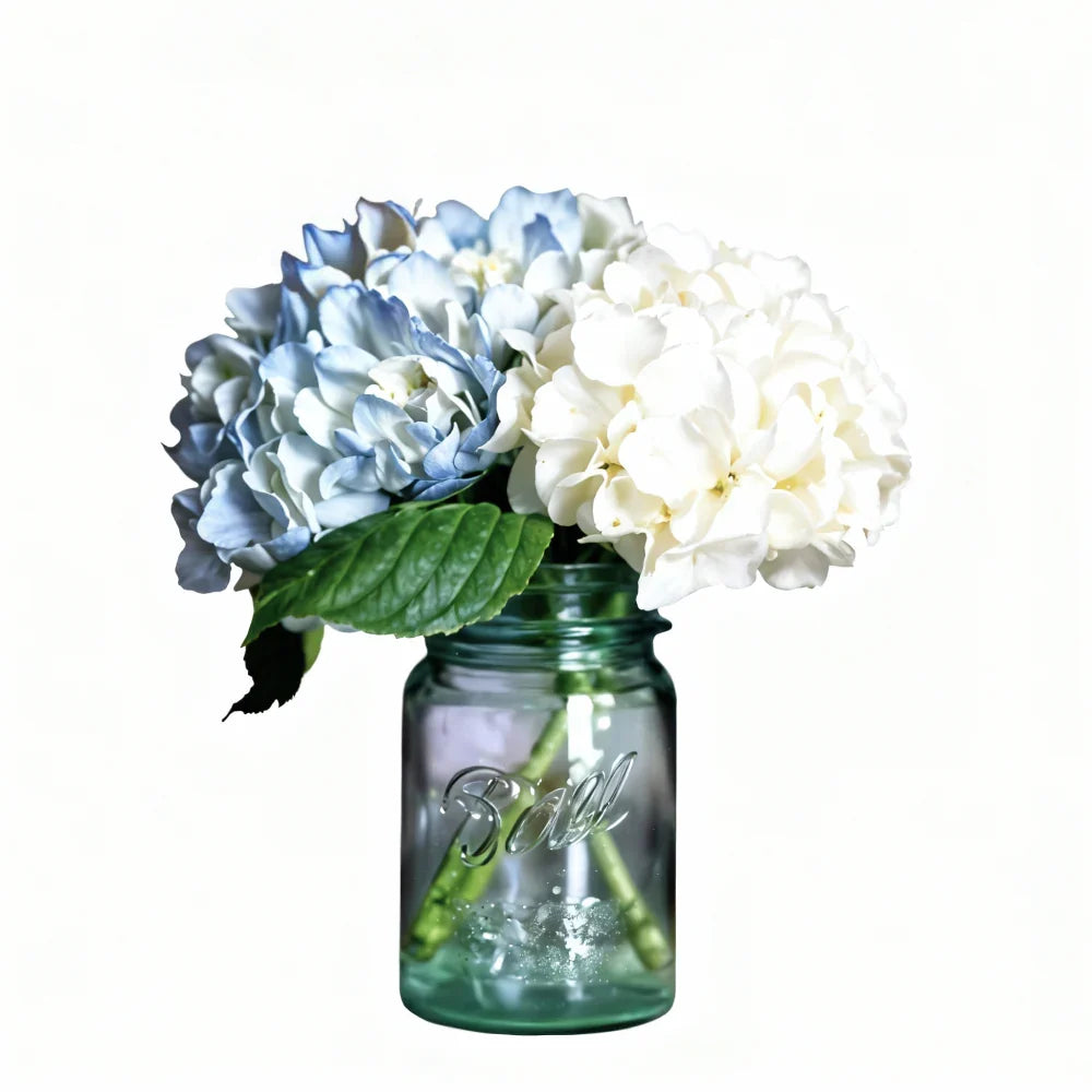 Hydrangea in Mason Jar Fleur Concept