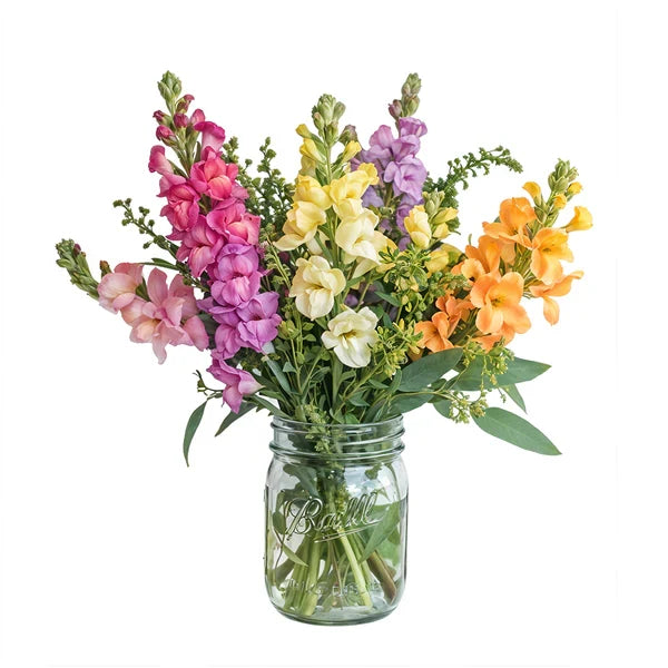 Super Snapdragons in Mason Jar Fleur Concept