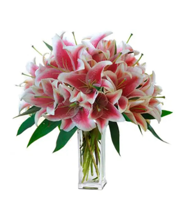 Extra Large Lily Beauty Fleur Concept