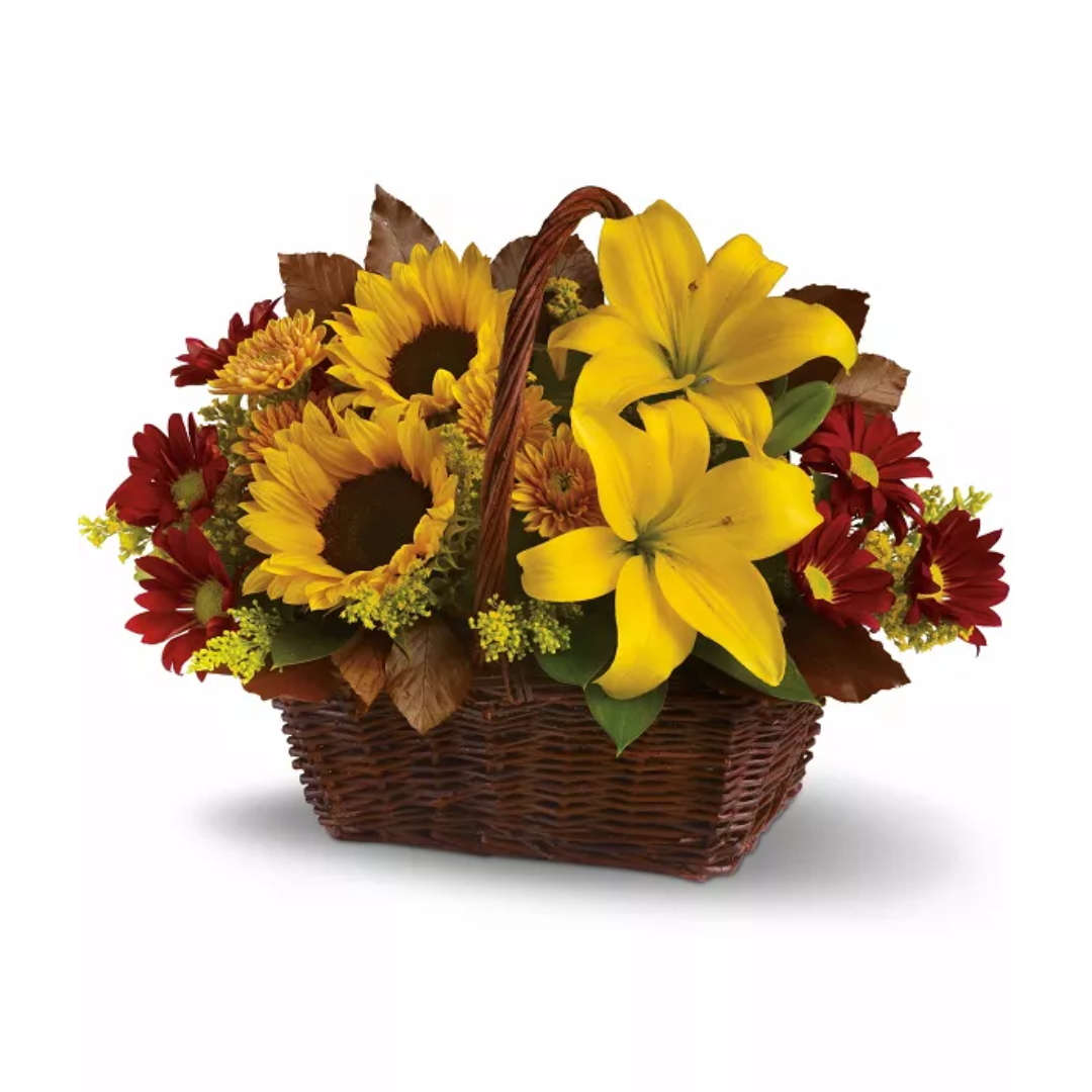 Panier des beaux jours