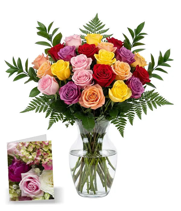 Two Dozen Assorted Roses Fleur Concept