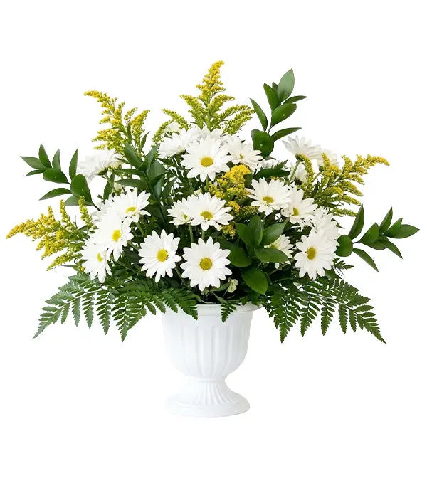 Voyage of the Doves Fleur Concept