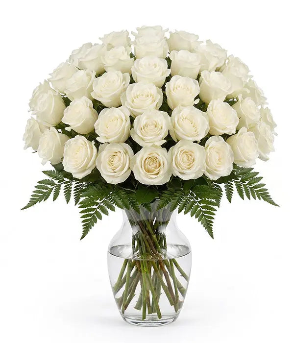 Three Dozen Long Stem White Roses Fleur Concept