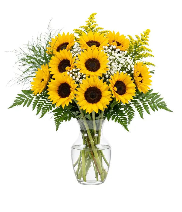 Sunshine Sunflowers Fleur Concept