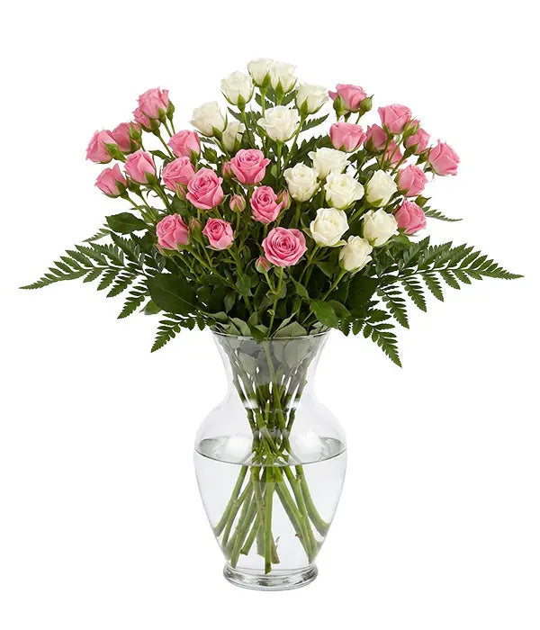 50 Blooms of White & Pink Spray Roses Fleur Concept